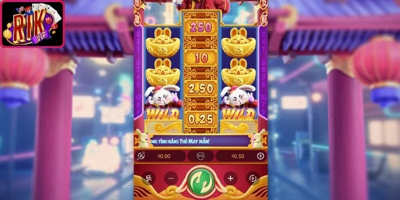 Lưu ý quan trọng nhằm bảo đảm an toàn tài chính khi cược