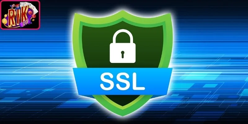 Chính Sách Bảo Mật Rikvip Cập Nhật Chuẩn Nhất 2026 2 Mã hóa SSL 256-bit