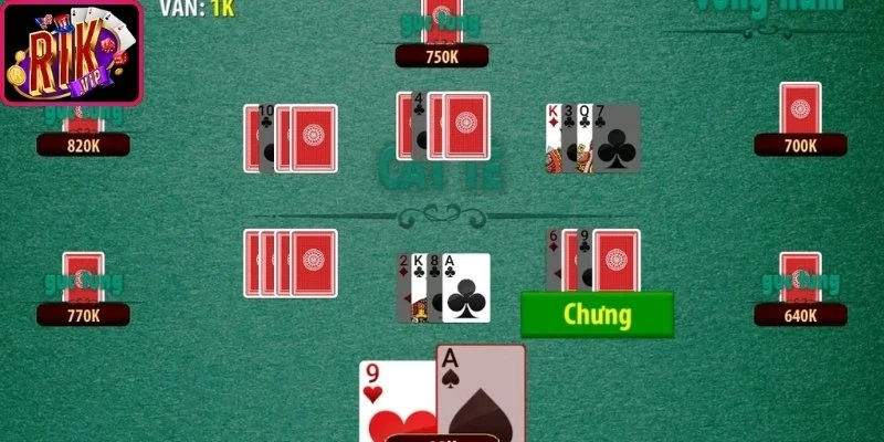 Cách Chơi Catte Chuẩn Xác Và Chi Tiết Cho Tân Binh 3 Thuật ngữ chuyên dụng tân binh nên thuộc lòng